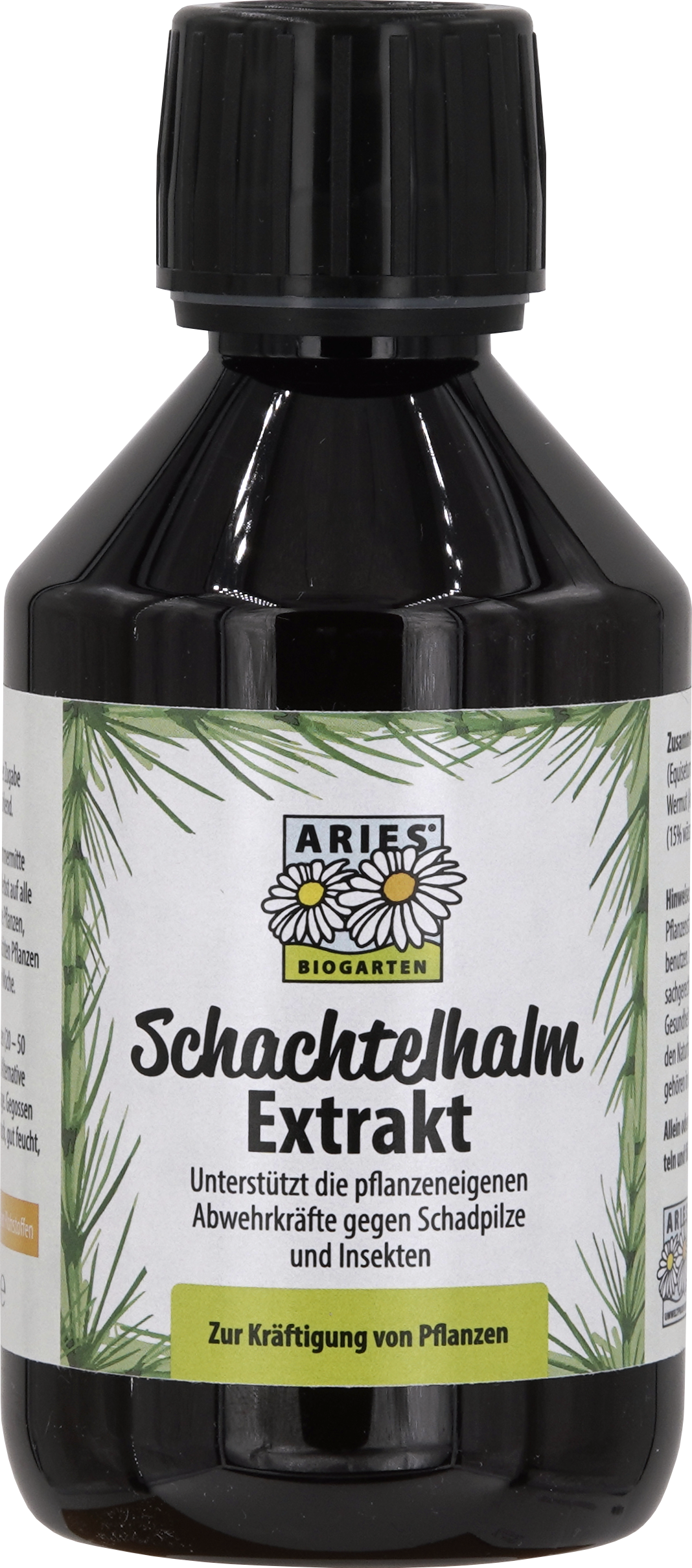 Schachtelhalm Extrakt